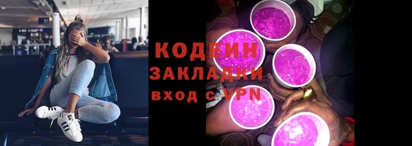 прущий лед Алзамай
