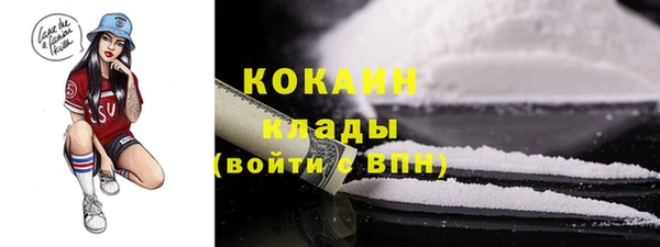 прущий лед Алзамай