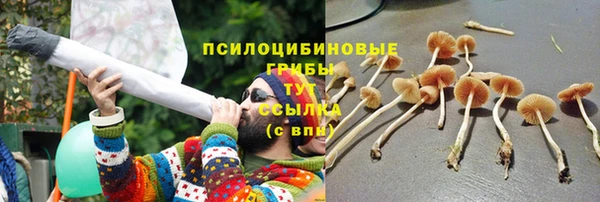 ПСИЛОЦИБИНОВЫЕ ГРИБЫ Алексеевка