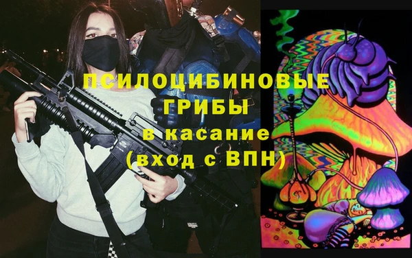 ПСИЛОЦИБИНОВЫЕ ГРИБЫ Алексеевка