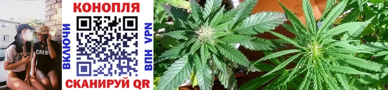 Бошки Шишки THC 21%  купить наркотики цена  Котельники 